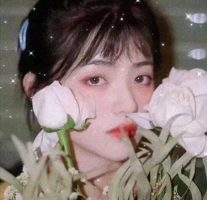安东与安东妮